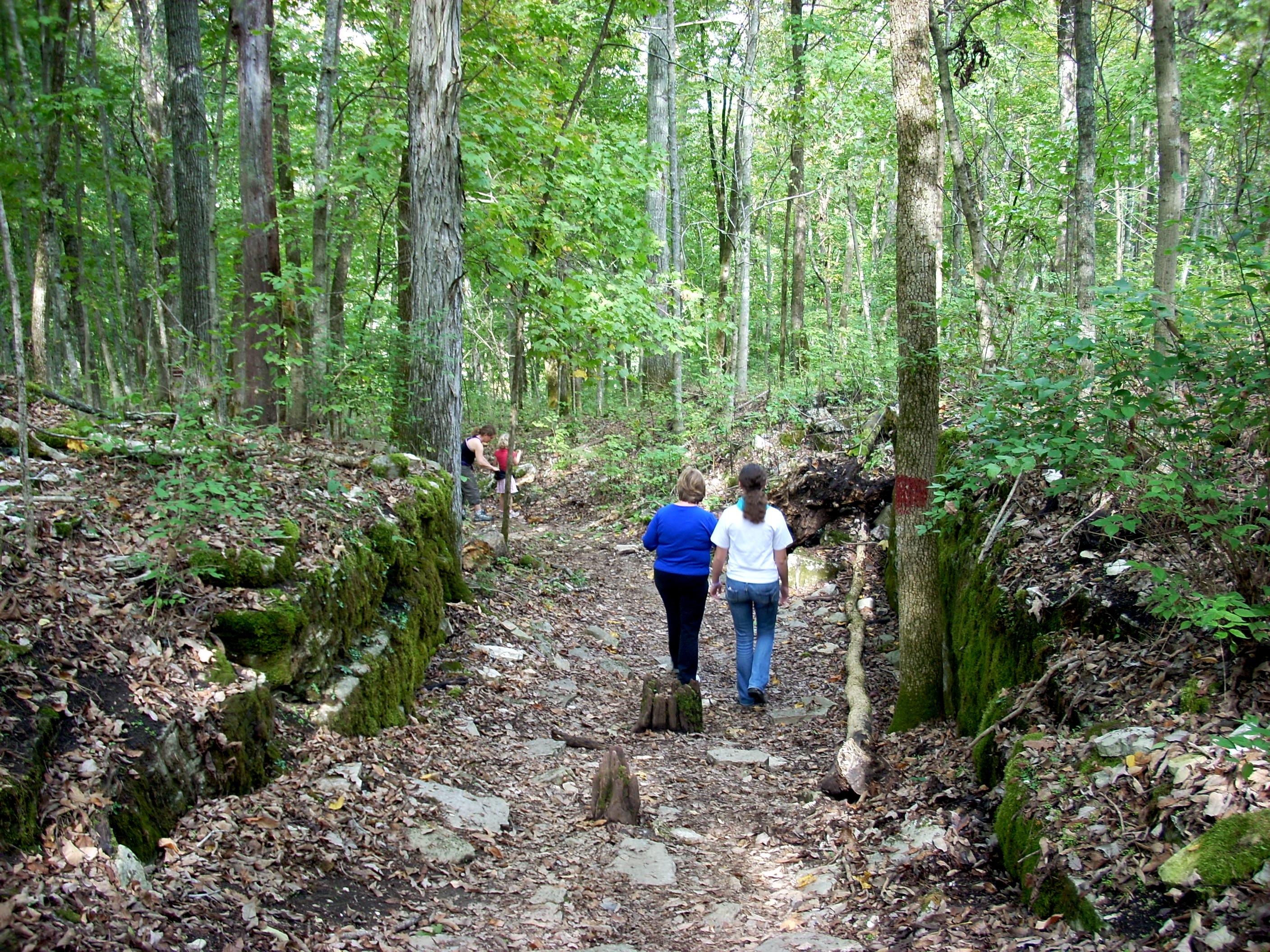 Raven Run Hiking Red Trail